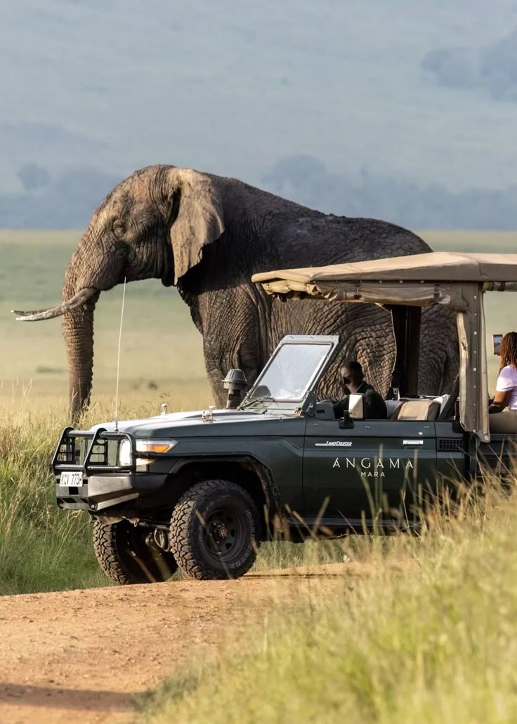 Maasai Mara